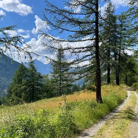 Apartment Ninette, Intimita E Natura Sauze di Cesana