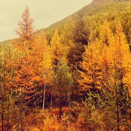 Ninette, Intimita E Natura Sauze di Cesana
